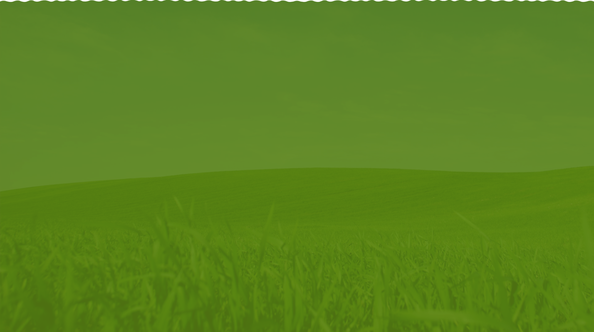 Polypropylene masterbatch ， polypropylene BCF filament masterbatch ，polypropylene masterbatch DTY silk, polypropylene ATY masterbatch, functional masterbatch